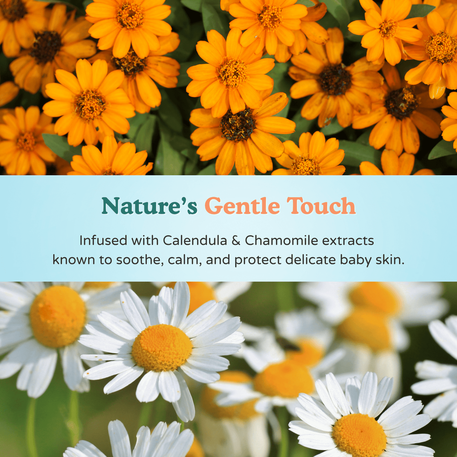 99% Fresh Water Baby Wipes - CuteBundles